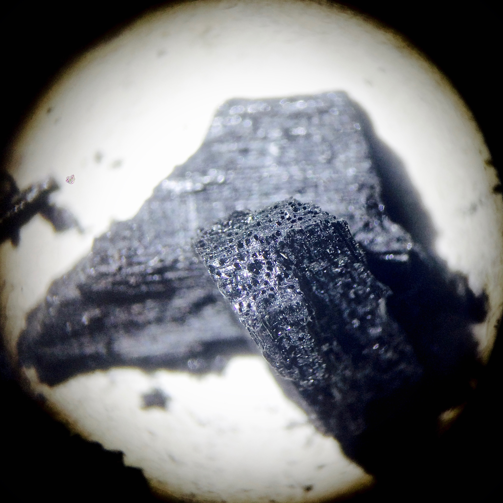 Biochar at 16 x magnification