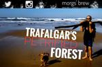 Walking with the FOSSILS | Trafalgar's petrified forest in KZN