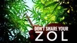 GROW your own smokes | SOUTH AFRICAN ZOL